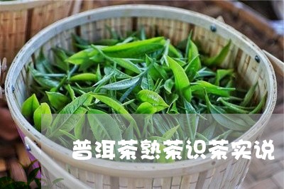 普洱茶熟茶识茶实说/2023070999406