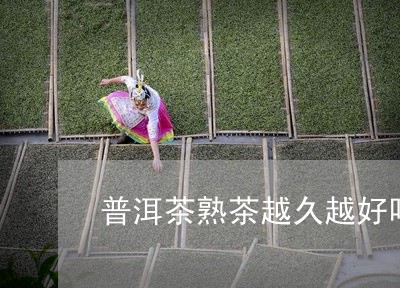 普洱茶熟茶越久越好吗/2023062324136