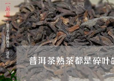 普洱茶熟茶都是碎叶的吗/2023122091724