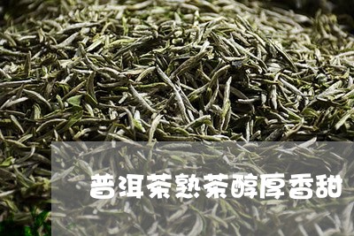 普洱茶熟茶醇厚香甜/2023091452604