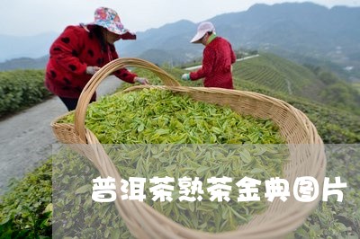 普洱茶熟茶金典图片/2023120552835