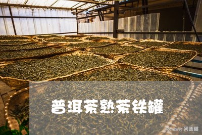 普洱茶熟茶铁罐/2023102645141