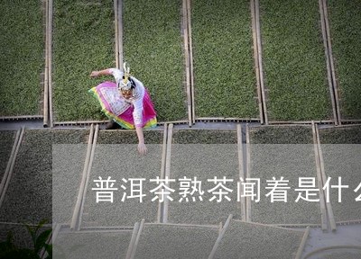 普洱茶熟茶闻着是什么味道/2023102531608