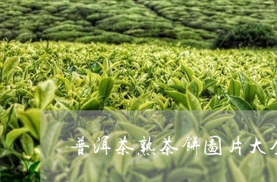 普洱茶熟茶饼图片大全/2023080312513