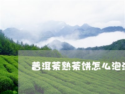 普洱茶熟茶饼怎么泡法好喝/2023112430703