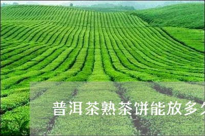 普洱茶熟茶饼能放多久/2023062392048