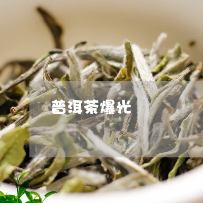 普洱茶爆光/2023102541805