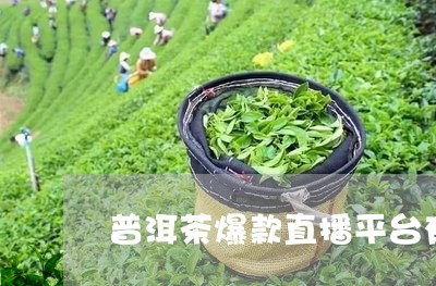 普洱茶爆款直播平台有哪些/2023112578492