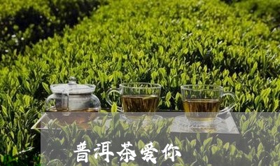 普洱茶爱你/2023090581694