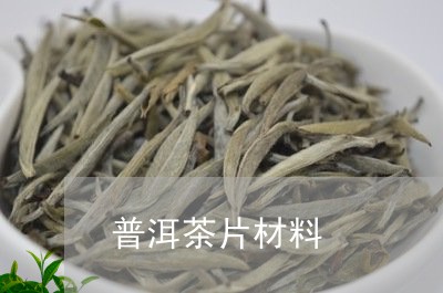 普洱茶片材料/2023042760125