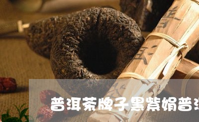 普洱茶牌子黑紫娟普洱茶价格/2023052702717