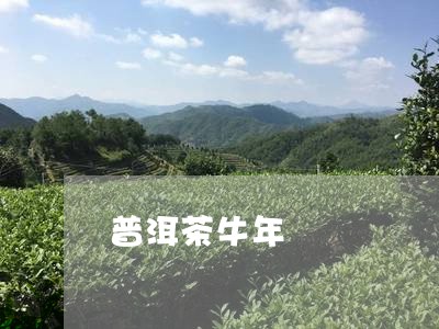 普洱茶牛年/2023112689471