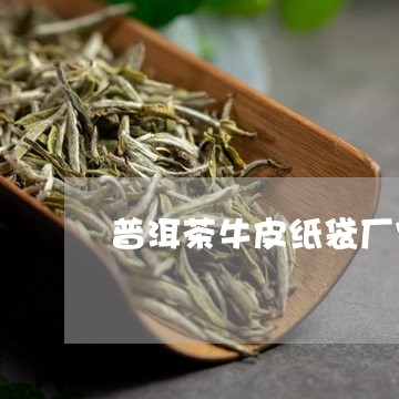 普洱茶牛皮纸袋厂家/2023071011626