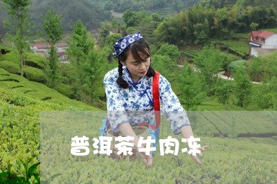 普洱茶牛肉冻/2023110715027