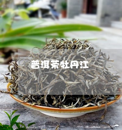 普洱茶牡丹江/2023042777375