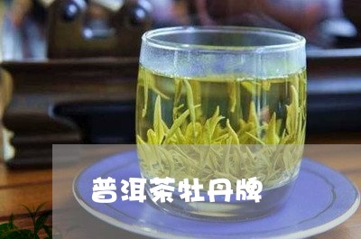 普洱茶牡丹牌/2023091283929