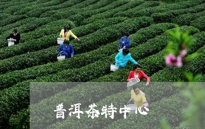 普洱茶特中心/2023042854770