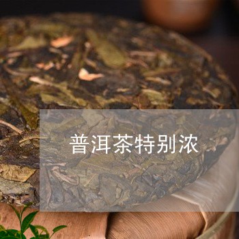 普洱茶特别浓/2023042807669