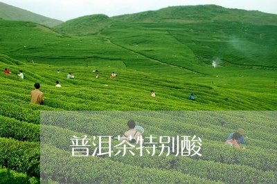 普洱茶特别酸/2023042693273