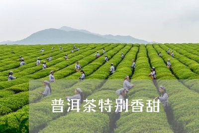 普洱茶特别香甜/2023102692626