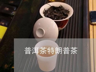 普洱茶特朗普茶/2023112668369