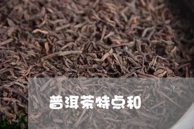 普洱茶特点和/2023042787325