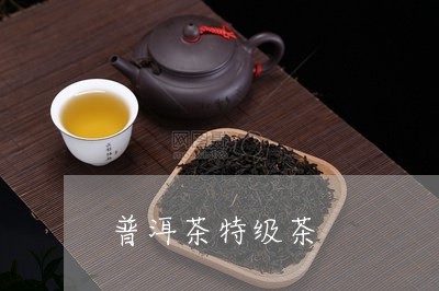 普洱茶特级茶/2023042826286