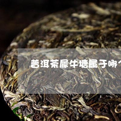 普洱茶犀牛塘属于哪个茶区/2023110208482