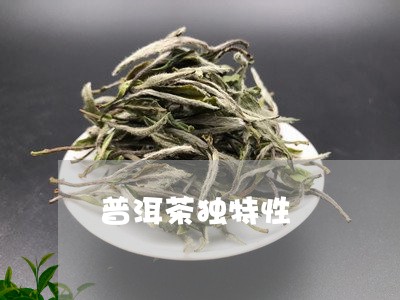 普洱茶独特性/2023042576709