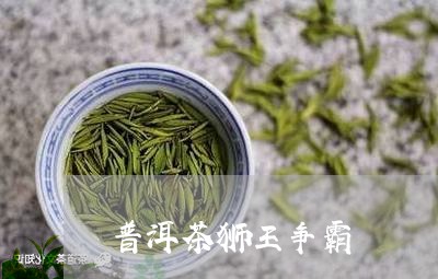 普洱茶狮王争霸/2023081818472