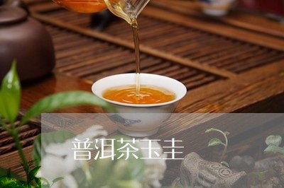 普洱茶玉圭/2023112623936