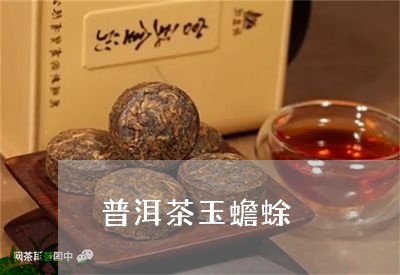 普洱茶玉蟾蜍/2023101652825