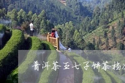 普洱茶王七子饼茶档次/2023062238371