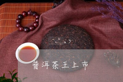 普洱茶王上市/2023042646909