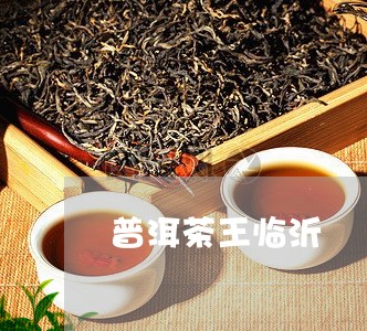 普洱茶王临沂/2023042755183