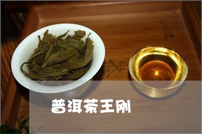 普洱茶王刚/2023102572815