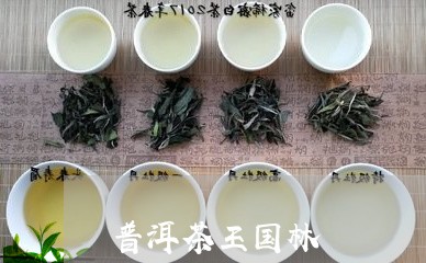 普洱茶王国林/2023042807470