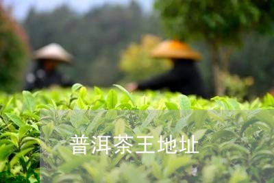 普洱茶王地址/2023042695228