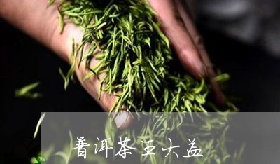 普洱茶王大益/2023112670503