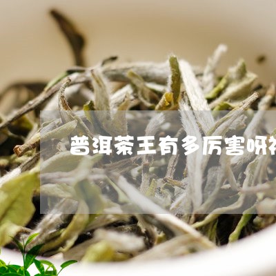 普洱茶王有多厉害呀视频/2023050457280