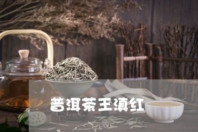 普洱茶王滇红/2023042876500