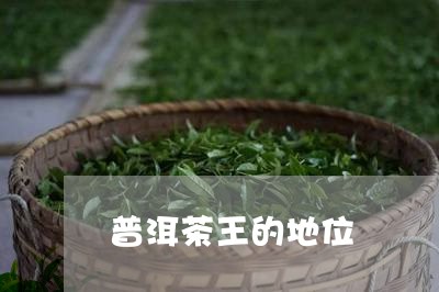 普洱茶王的地位/2023120364148