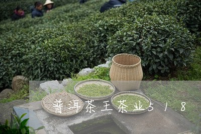 普洱茶王茶业518/2023091314057