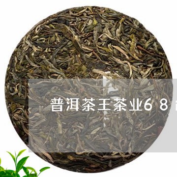 普洱茶王茶业68i8/2023072349575