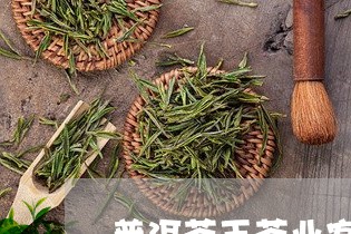 普洱茶王茶业官网价格/2023062372937