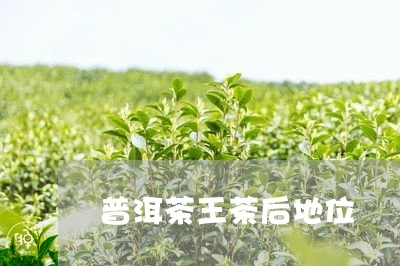 普洱茶王茶后地位/2023120445058