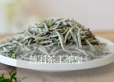 普洱茶王茶皇/2023042845106