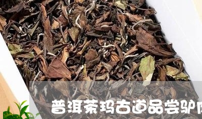 普洱茶玛古道品尝驴肉/2023062847169