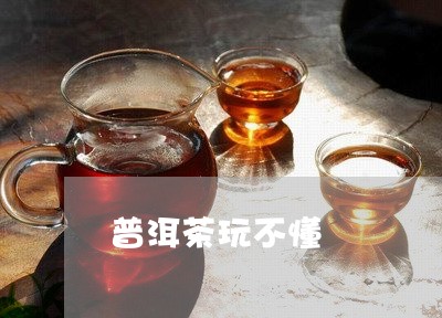 普洱茶玩不懂/2023091349491