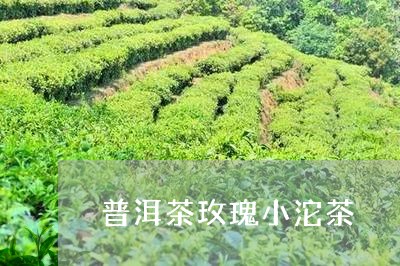 普洱茶玫瑰小沱茶/2023101622827